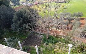 La Villa Del Conte Di Pirro